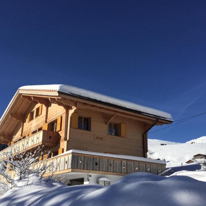 Photo of Others in Adelboden