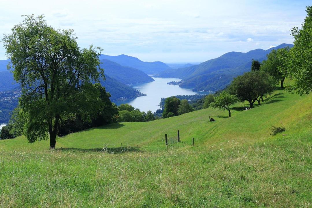 Photo of Others in Cademario