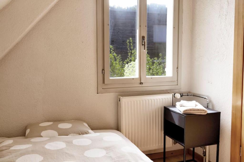 Photo of Others in Horgen District
