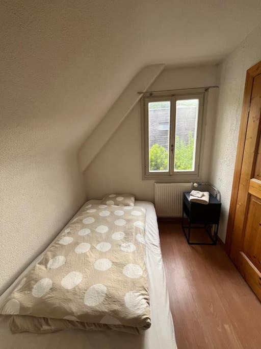 Photo of Others in Horgen District