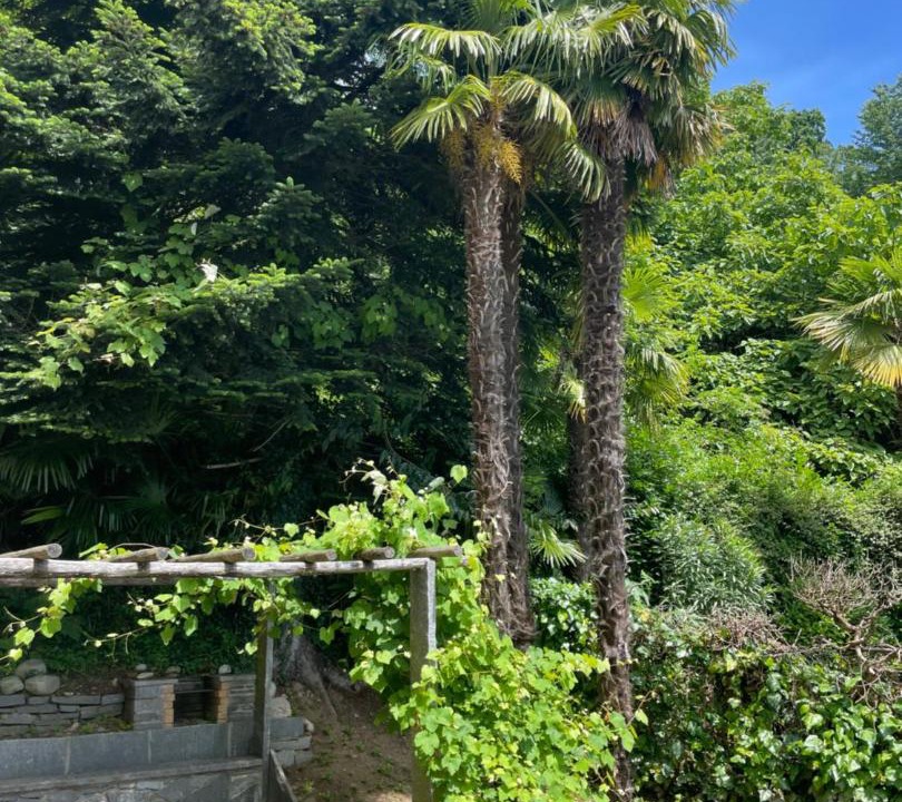 Photo of Others in Ponte Tresa