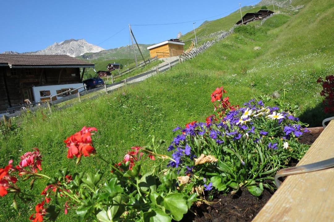 Photo of Others in Arosa