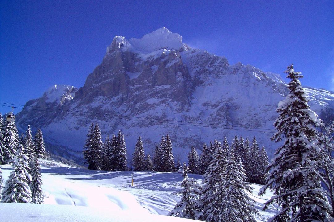 Photo of Others in Grindelwald