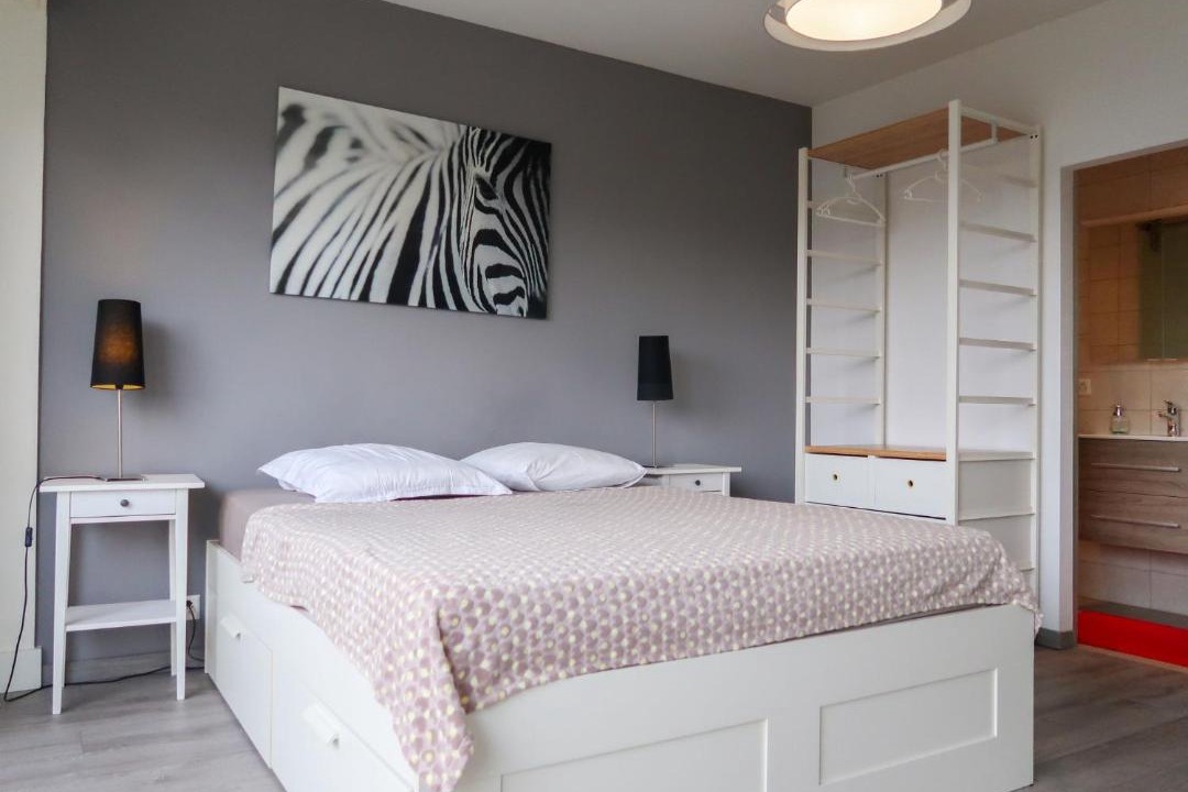 Photo of Bedroom in Petit-Saconnex / Servette