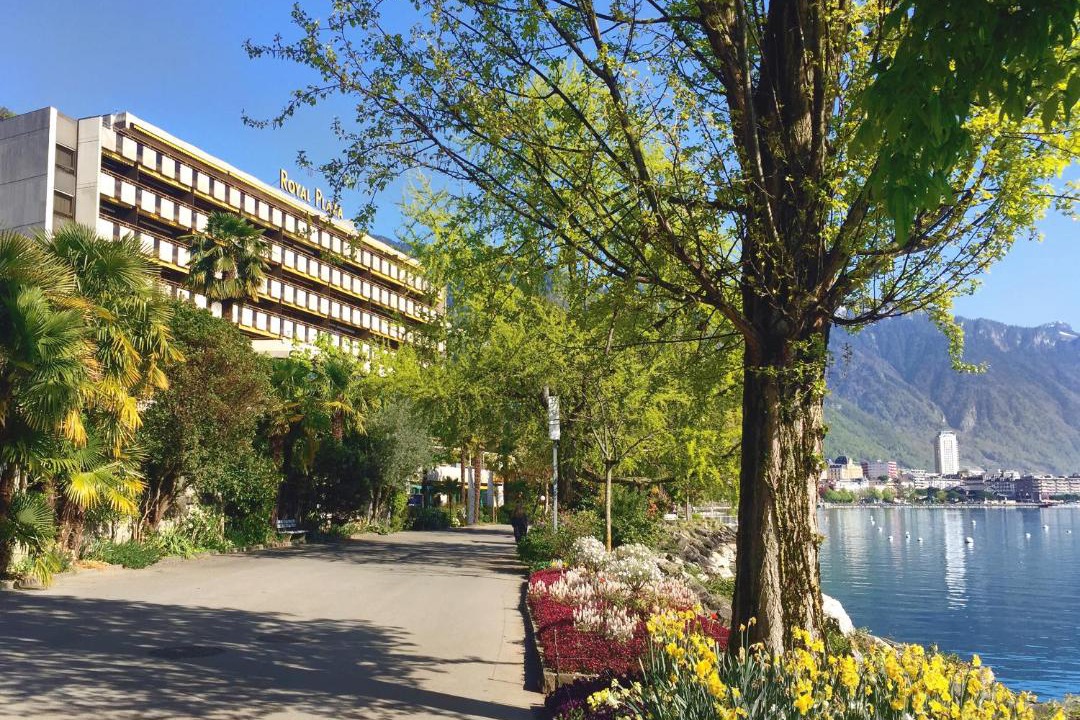 Photo of Others in Montreux City Centre