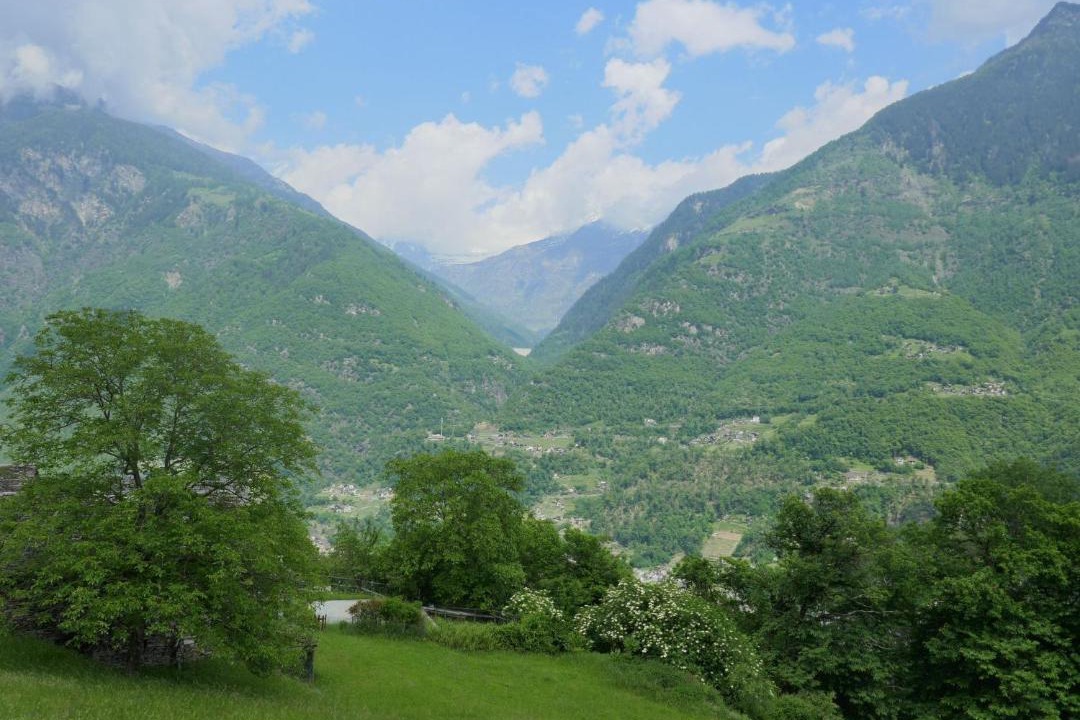 Photo of Others in Semione