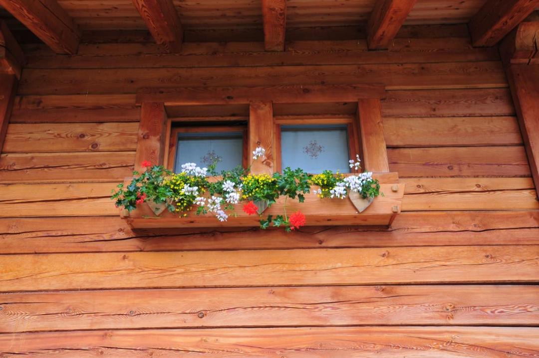 Photo of Others in Caderzone Terme