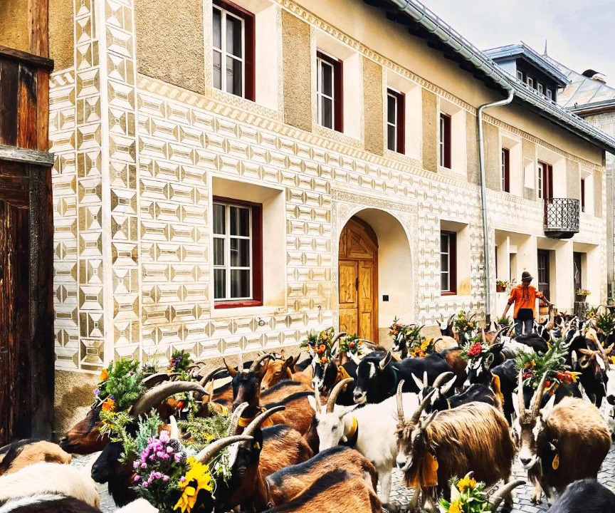 Photo of Others in Ardez