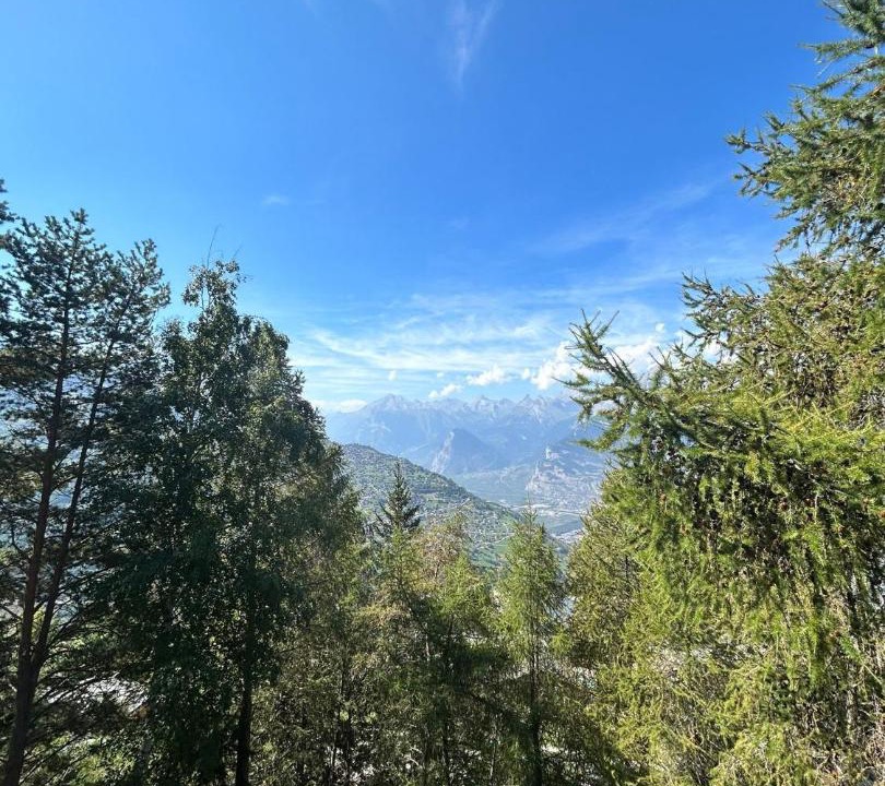 Photo of Others in Nendaz