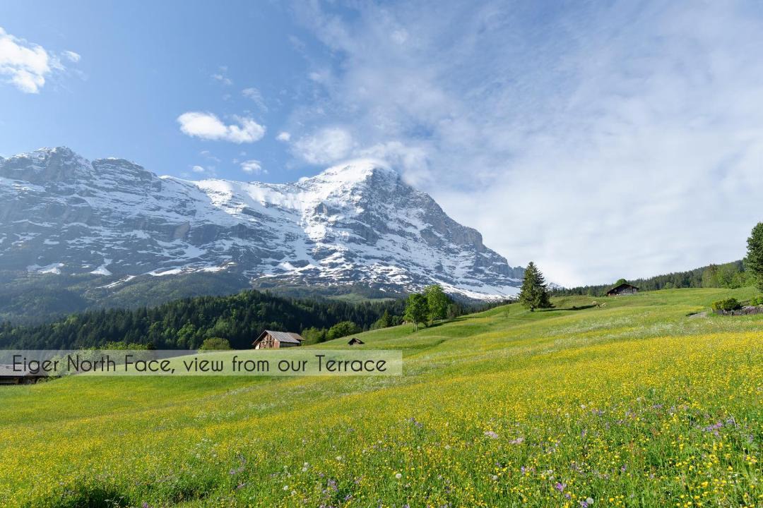 Photo of Others in Grindelwald