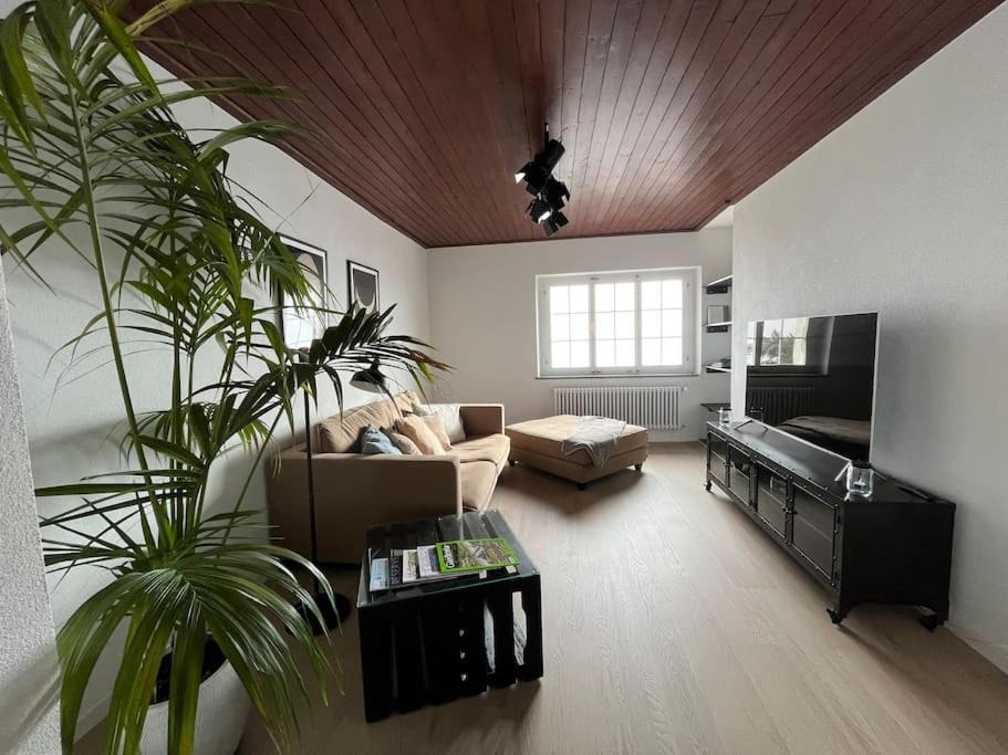 Photo of Livingroom in Manno