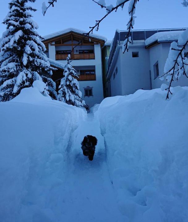 Photo of Others in Val Muestair
