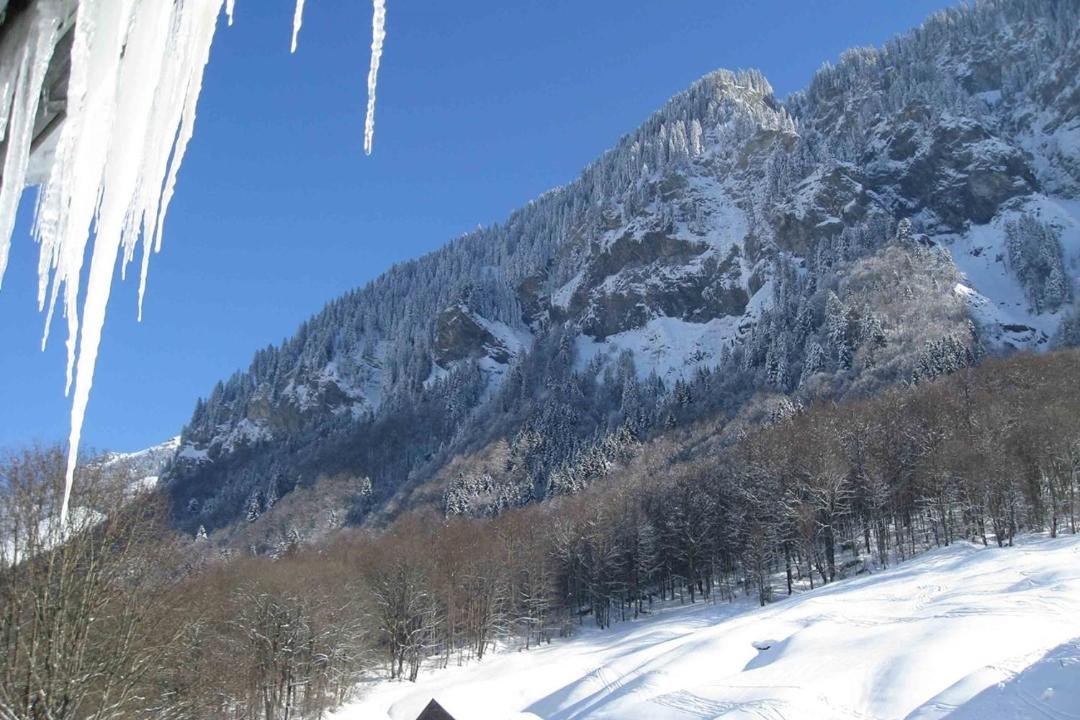 Photo of Others in Weisstannen