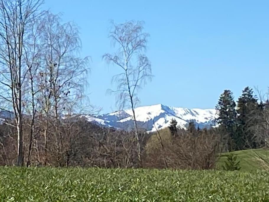 Photo of Others in Schwarzenburg