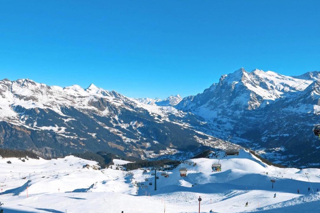Photo of Others in Grindelwald