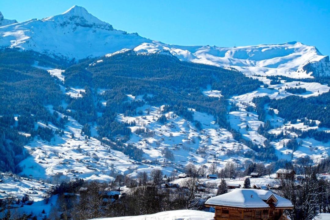 Photo of Others in Grindelwald