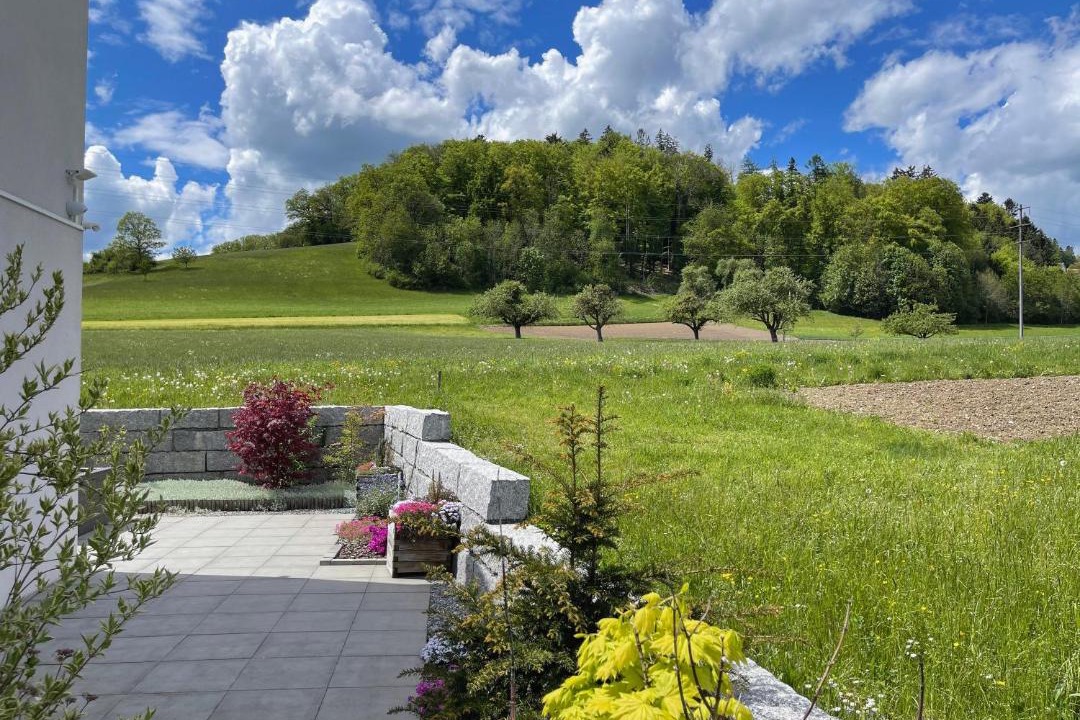 Photo of Others in Beinwil am See