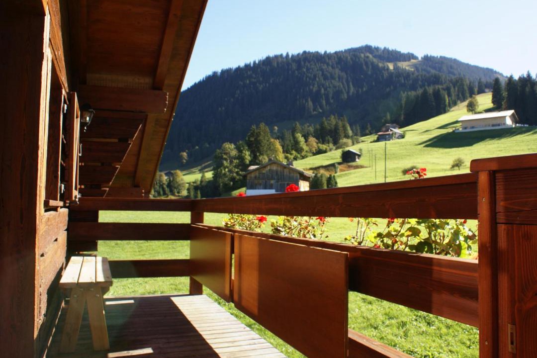 Photo of Others in Zweisimmen Nr Gstaad