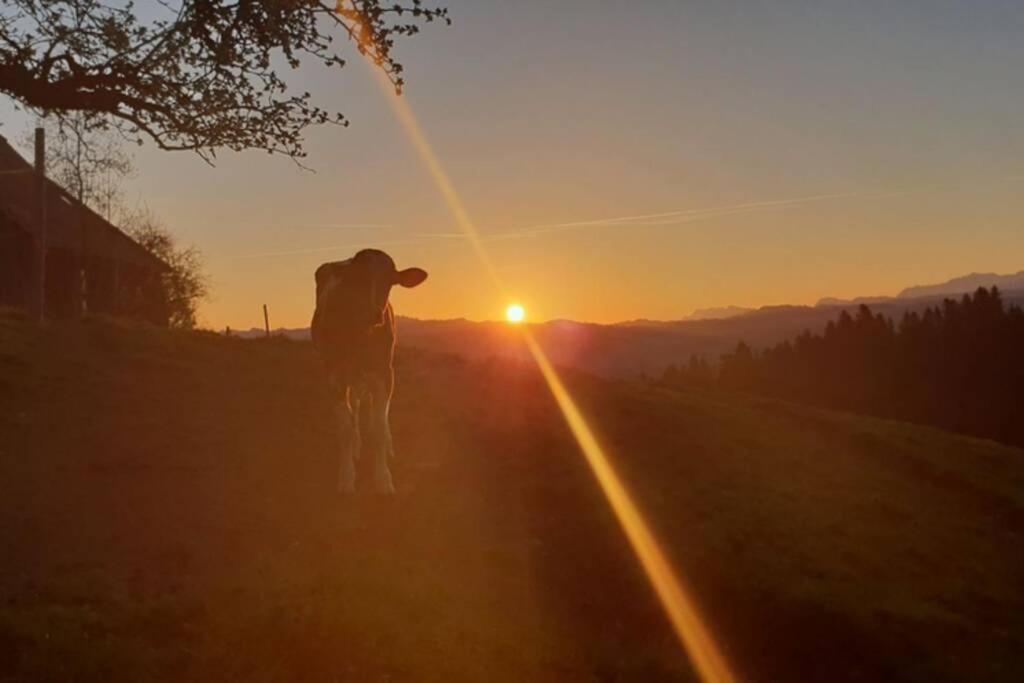 Photo of Others in Lauperswil