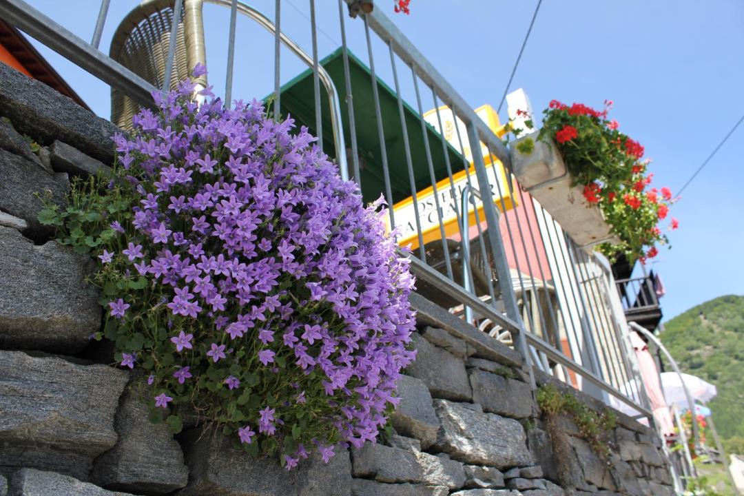 Photo of Others in Onsernone
