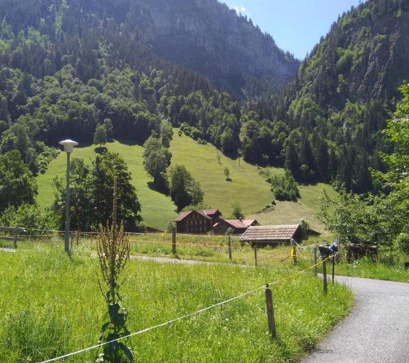 Photo of Others in Stechelberg