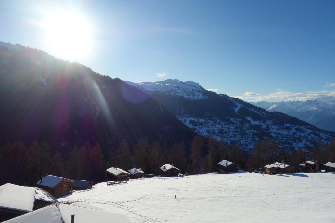 Photo of Others in Nendaz