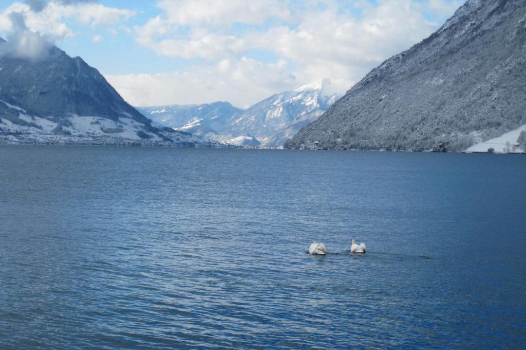 Photo of Others in Brunnen