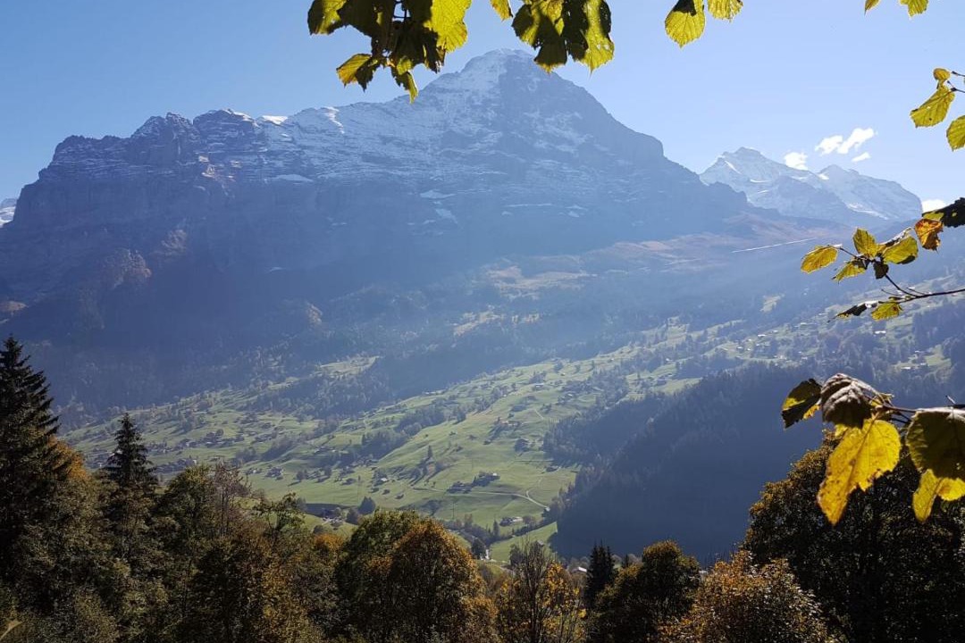 Photo of Others in Grindelwald