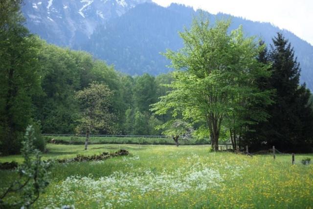 Photo of Others in Boenigen