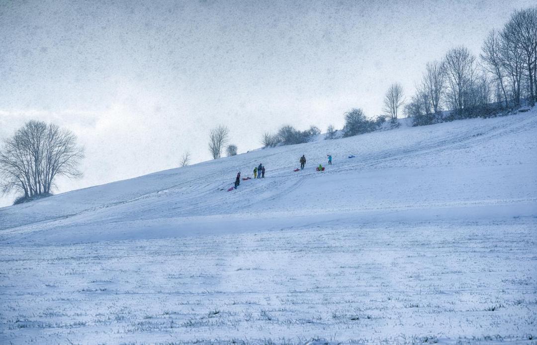Photo of Others in Beinwil am See