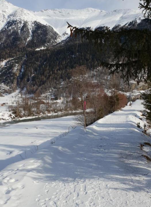 Photo of Others in Zernez