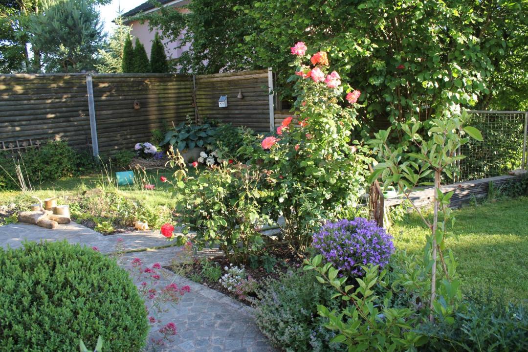 Photo of Others in Bremgarten