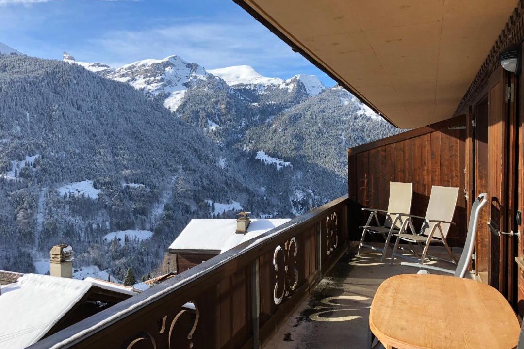 Photo of Others in Wengen
