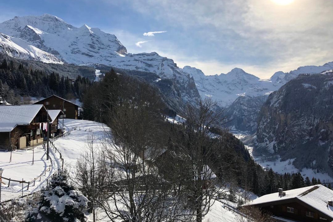 Photo of Others in Wengen