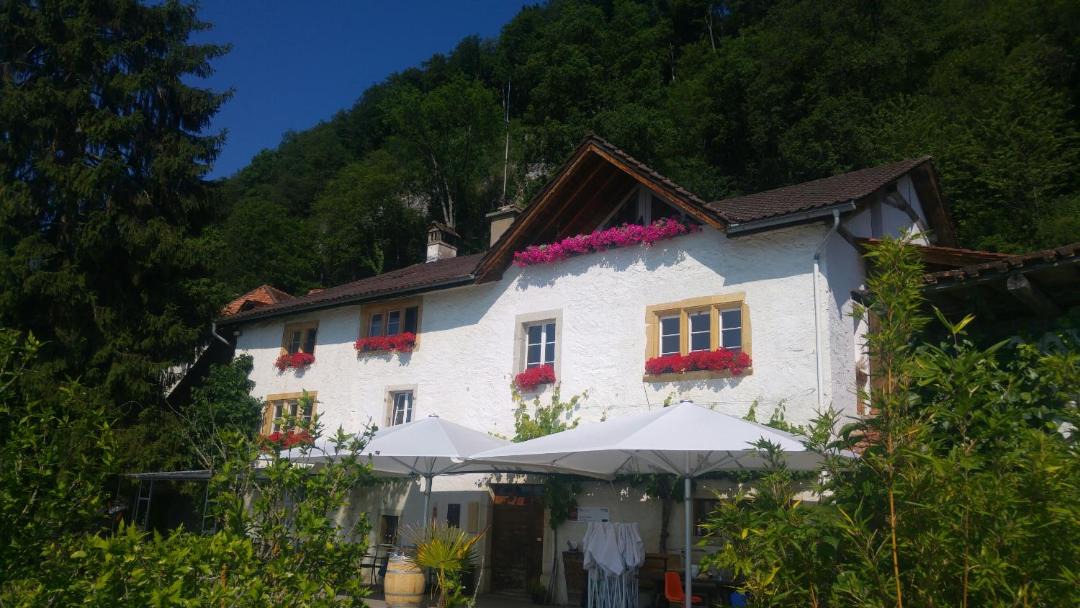 Photo of Others in Ligerz