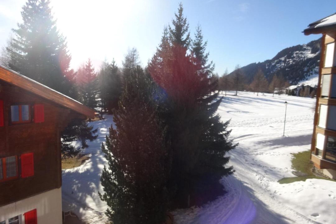 Photo of Others in Riederalp