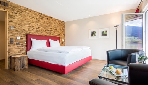 Classic - Double -or Twin Room, Balcony, Mountainview (Eiger), Air Condition