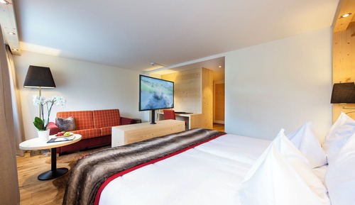 Basic Double Room, 1 Queen Bed with Sofa bed, Pets Allowed