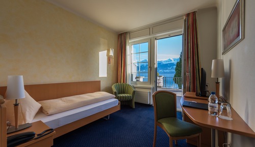 Single Room, Balcony, Lake View