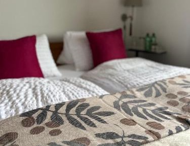 Double Room with Mountain View