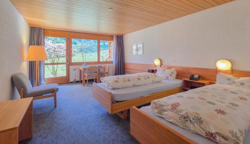 Double Room with Mountain View