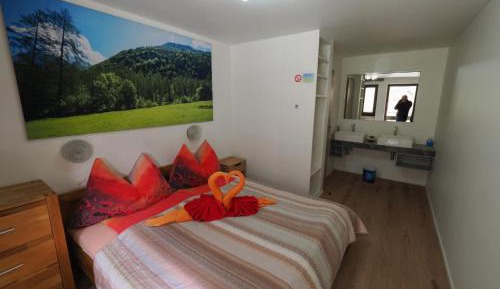 Double or Twin Room with Mountain View