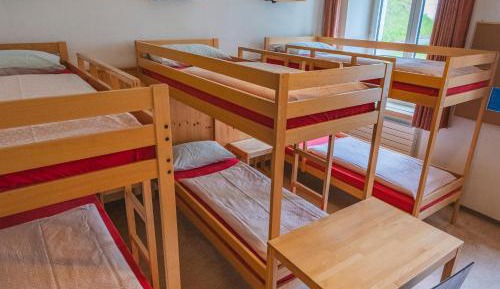Bed in 6-Bed Dormitory Room