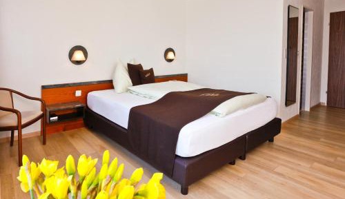 Executive Single Room with Lake View