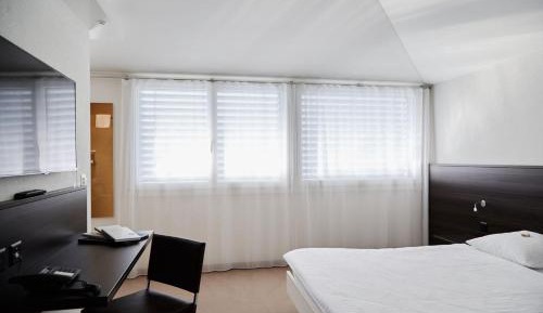 Superior Single Room