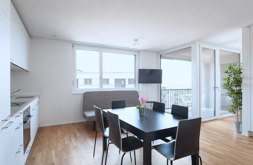 Basel City Centre Apartment | BS Bear V - Messe HITrental Apartment