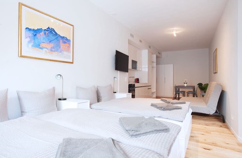 Basel City Centre Apartment | BS Hodler III - Marktplatz HITrental Apartment