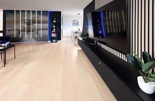 Dietikon District Apartment | Cosy Escape 3BR; 20 min Zurich Main Station; 2 Free Parking Spots