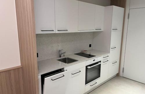Schwanden Apartment | Modern Comfort Suite