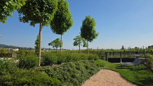 Negrar House | Agriturismo Igino - Camere fra Vigneti della Valpolicella